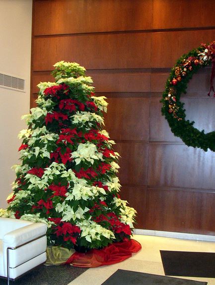 Fresh flowers Christmas tree with fresh poinsettias in white and red.JPG