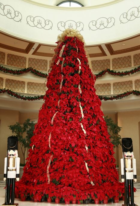 Poimsettias Christmas tree picture.JPG
