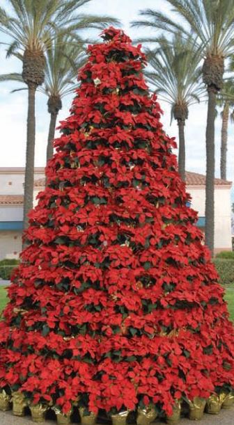 Red flowers Christmas tree with poinsettias.JPG