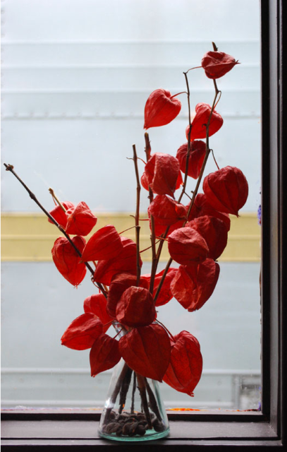 Chinese Lantern Flowers centerpiece.PNG