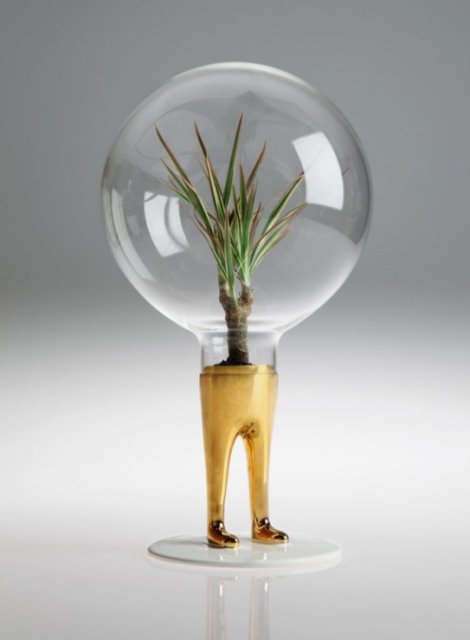 Funky plant home decor.PNG