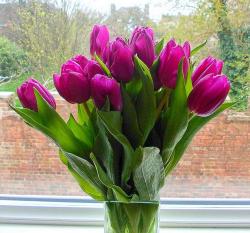 Beautiful color mother's day bouquet with tulips