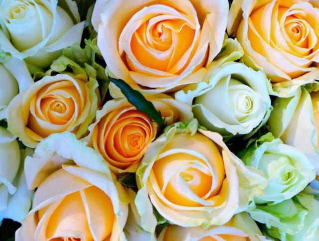 Bouquet of Roses in Pink and White Top View.JPG