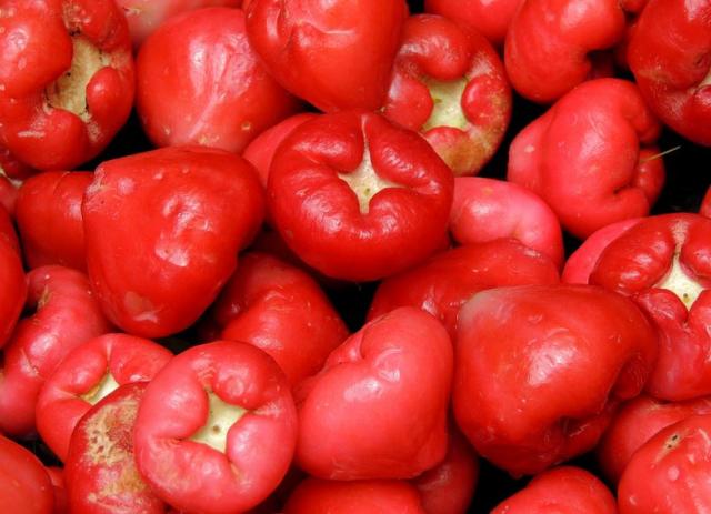 Close up picture of tropical Wax Jambu fruits in bright red