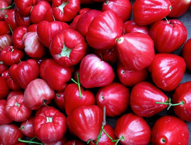 Crunchy tropical fruits in bright red