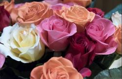 Rose Bouquet with Red White Orange Roses.JPG