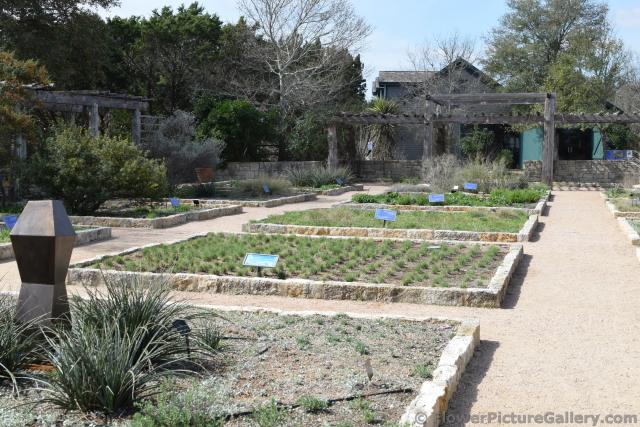 Raised Bed Gardens at Austin Wildflower Center.jpg