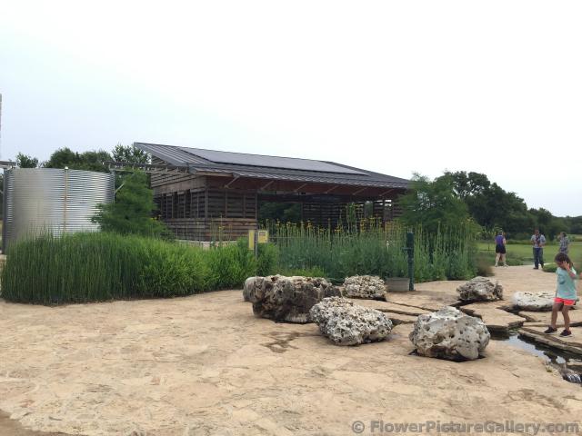 Robb Family Pavilion at Ladybird Johnson Wildflower Center.jpg
