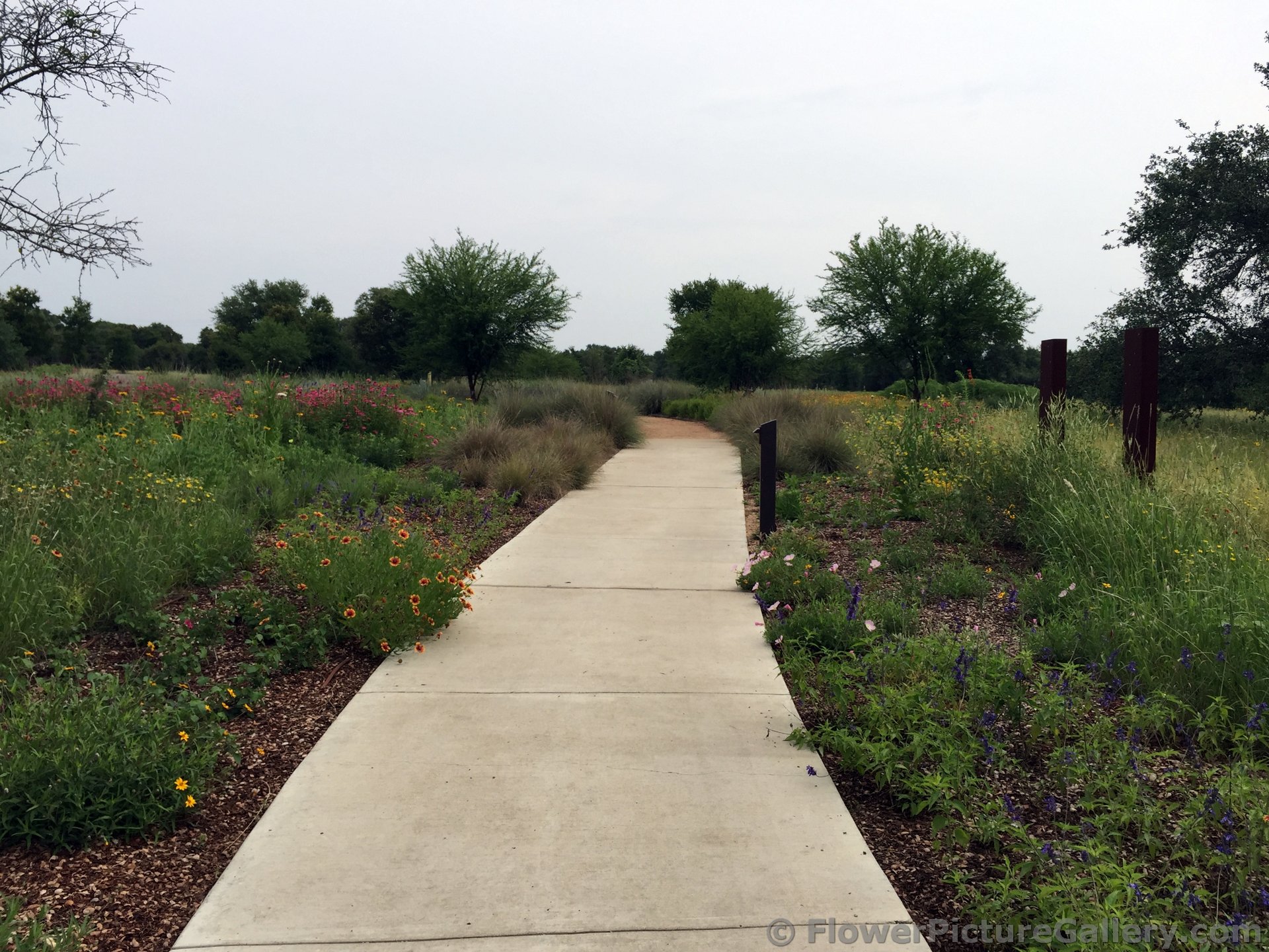 Walking Path Through Gardens.jpg