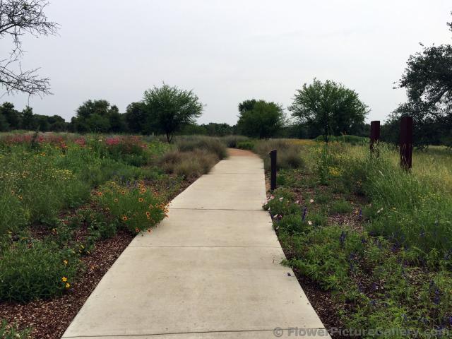 Walking Path Through Gardens.jpg