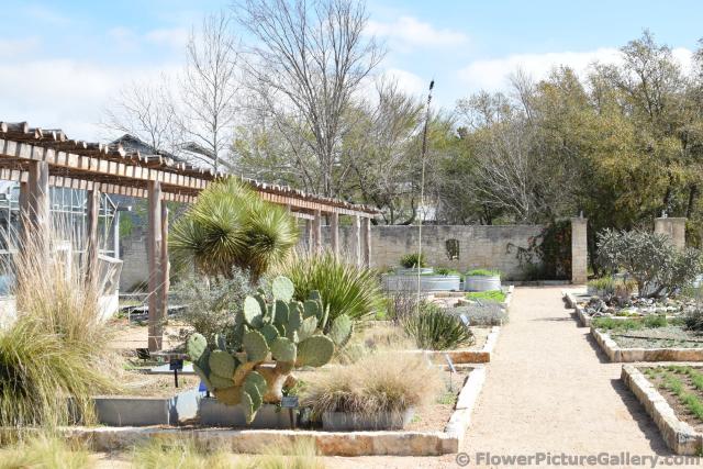 Cactus and Dry Climate Garden.jpg