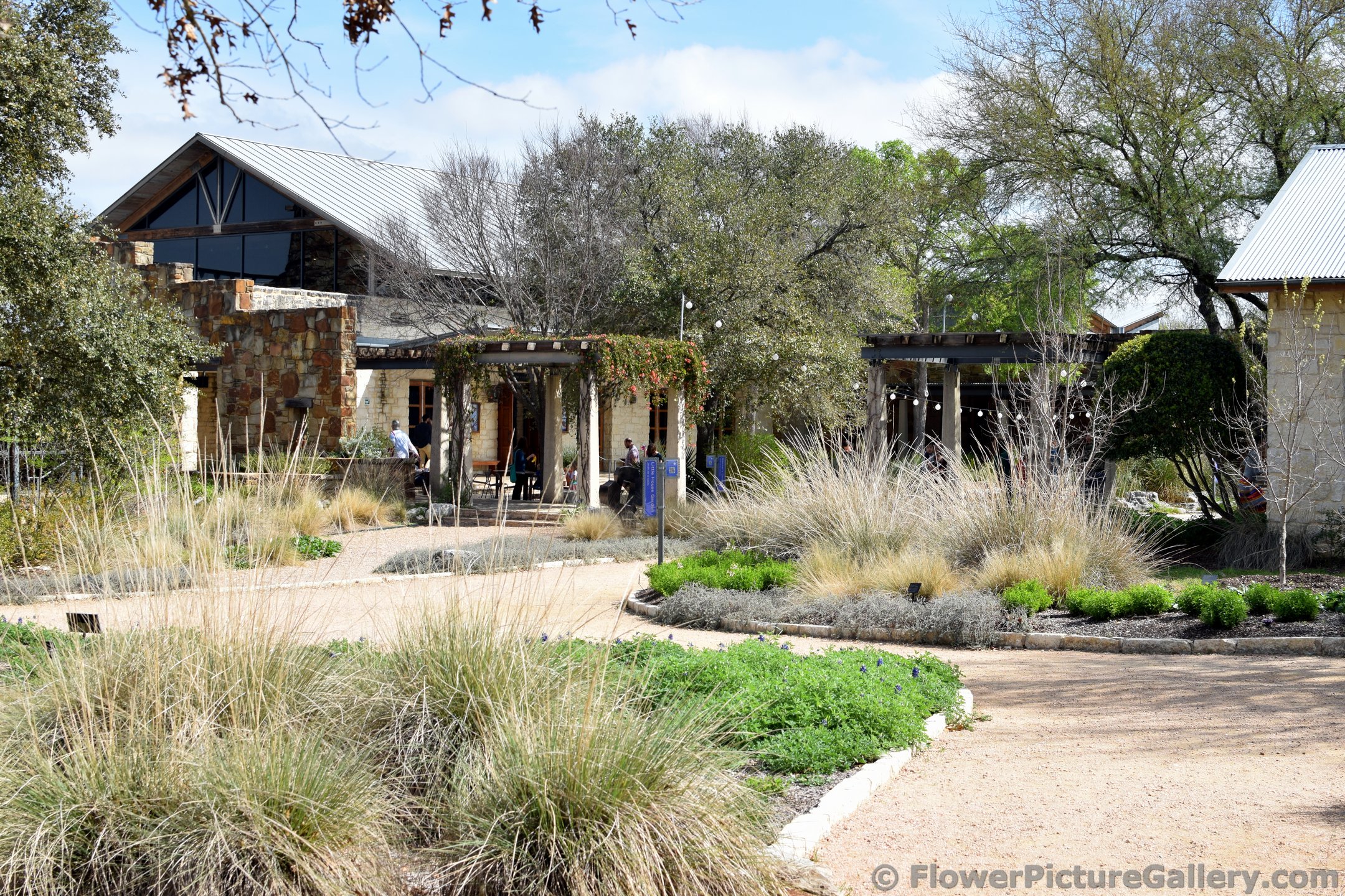 Little House Garden.jpg