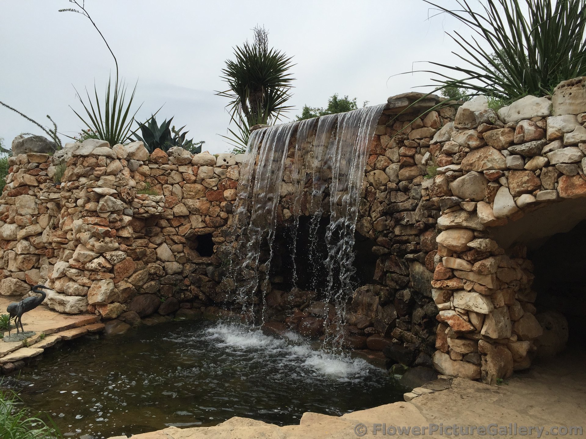 Mini Waterfall at Austin Wild Flower Center.jpg