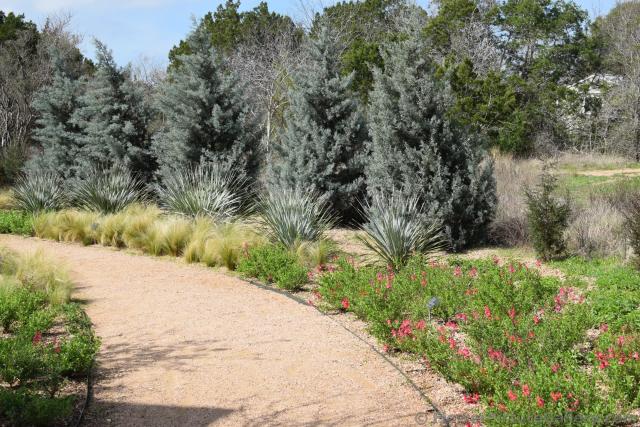 Path lined by Native Texas Plants.jpg