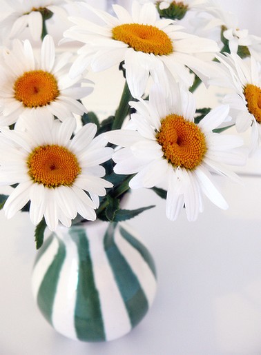 daisy centerpiece.jpg