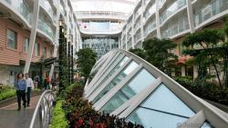 Spine-like Sky Light Windows at Central Park Allure of the Seas