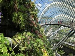 Gardens by the Bay Pictures