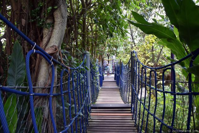 Adventure Trail Drawbridge at Gardens by the Bay Children's Garden