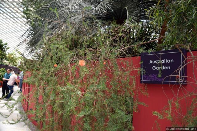 Australian Garden at Gardens by the Bay