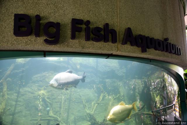 Big Fish Aquarium at Gardens by the Bay
