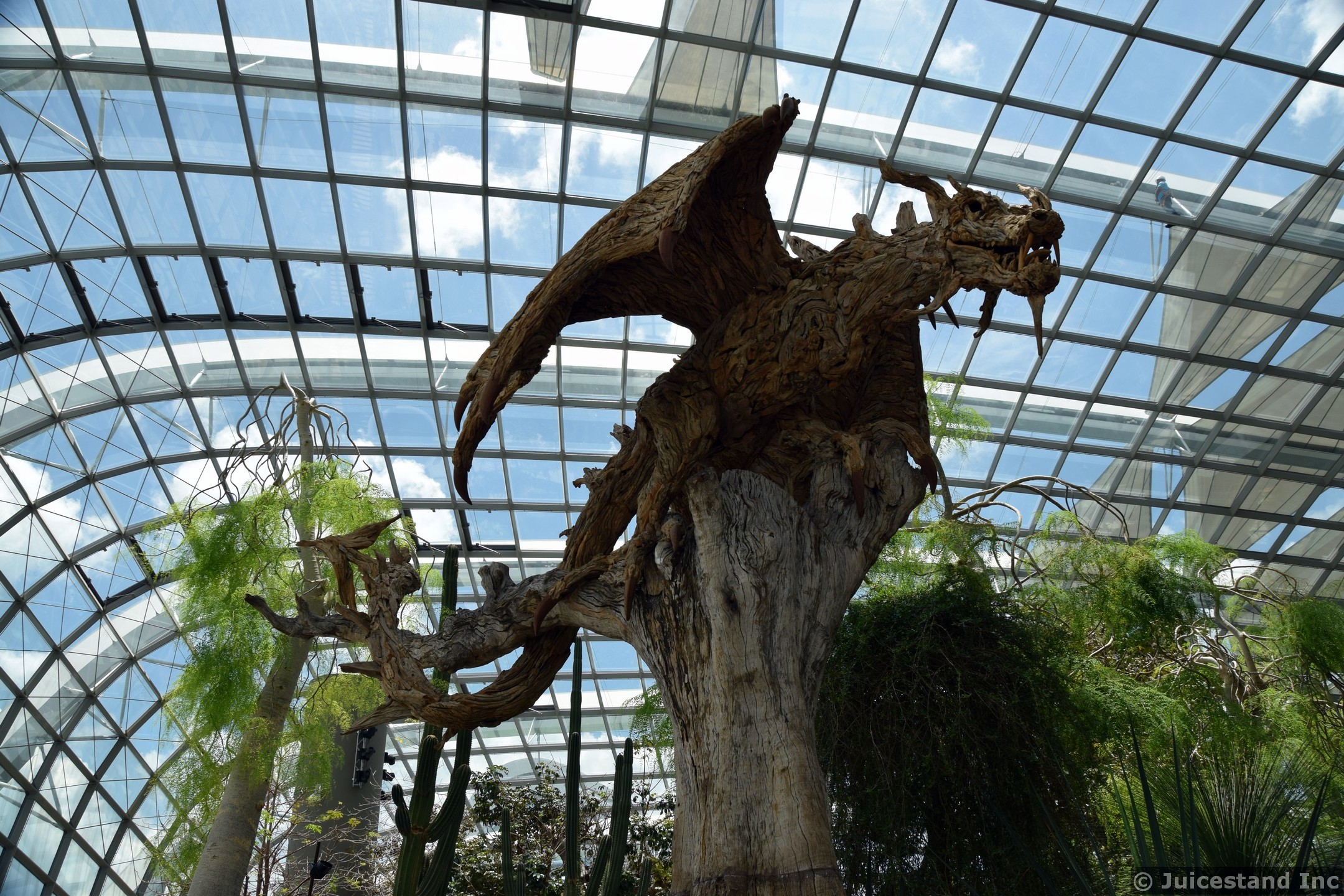 Dragon on Tree inside Flower Dome Gardens by the Bay