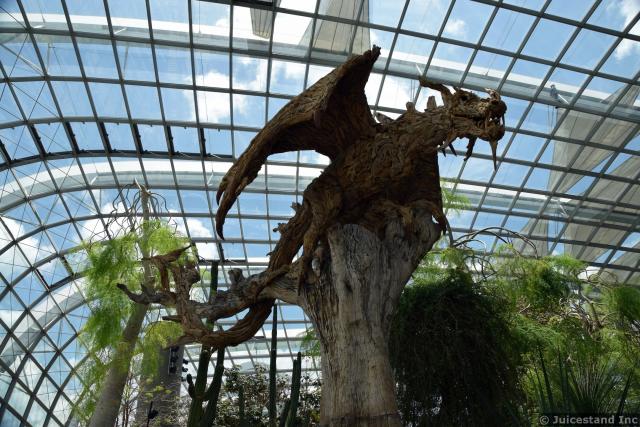 Dragon on Tree inside Flower Dome Gardens by the Bay
