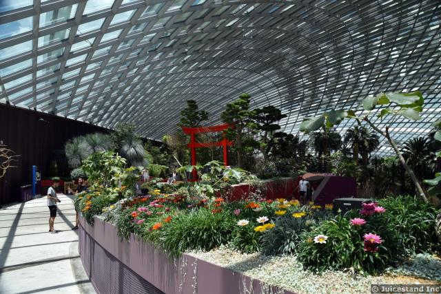 Inside Garden Dome Gardens by the Bay