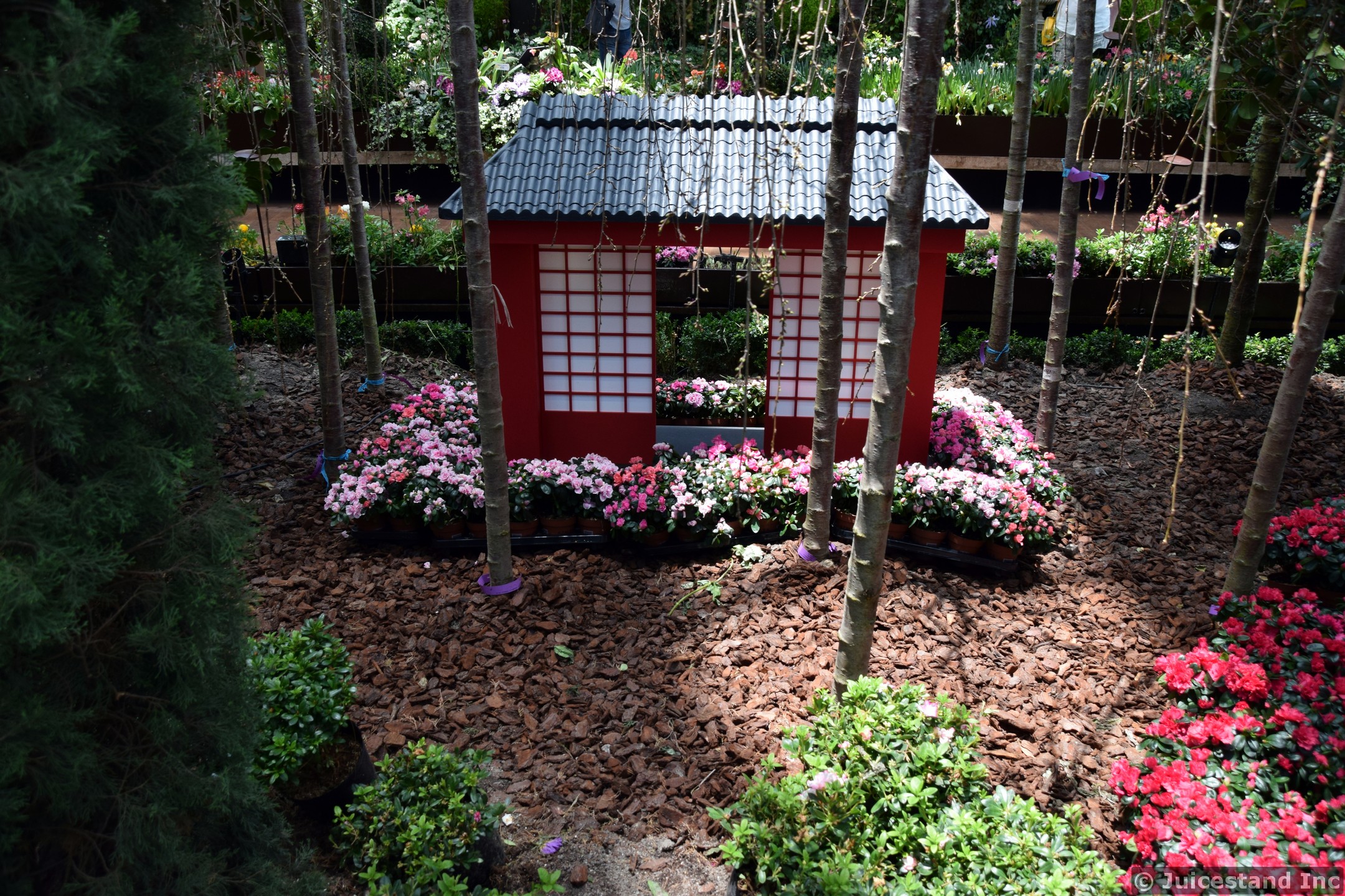 Japanese Garden at Flower Dome