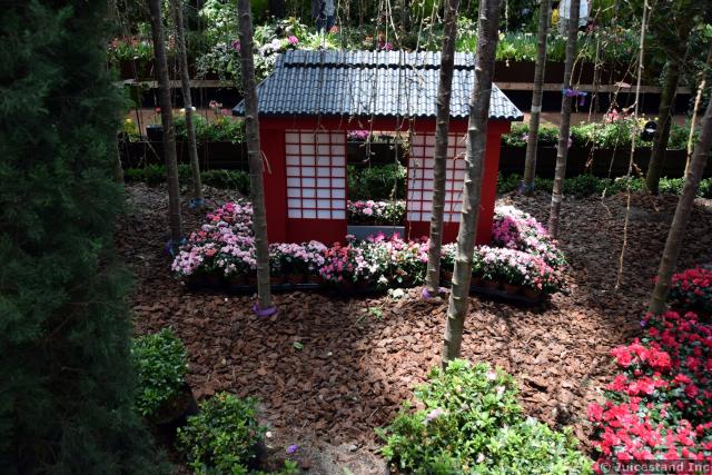 Japanese Garden at Flower Dome