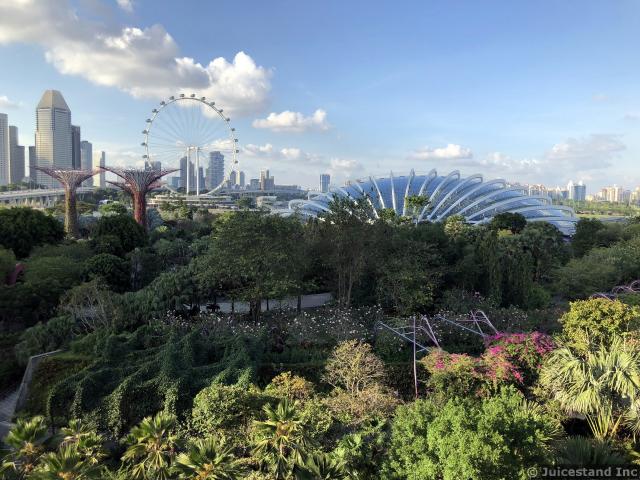Another View of Singapore Skyline from OCBC Skywalk