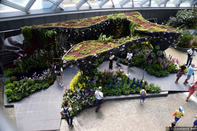 Canyon Garden inside Cloud Forest