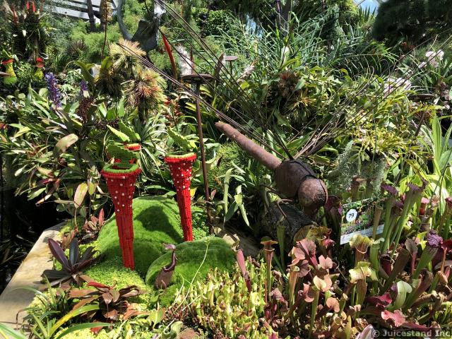 Carnivore Plants and Insect Sculpture Gardens by the Bay