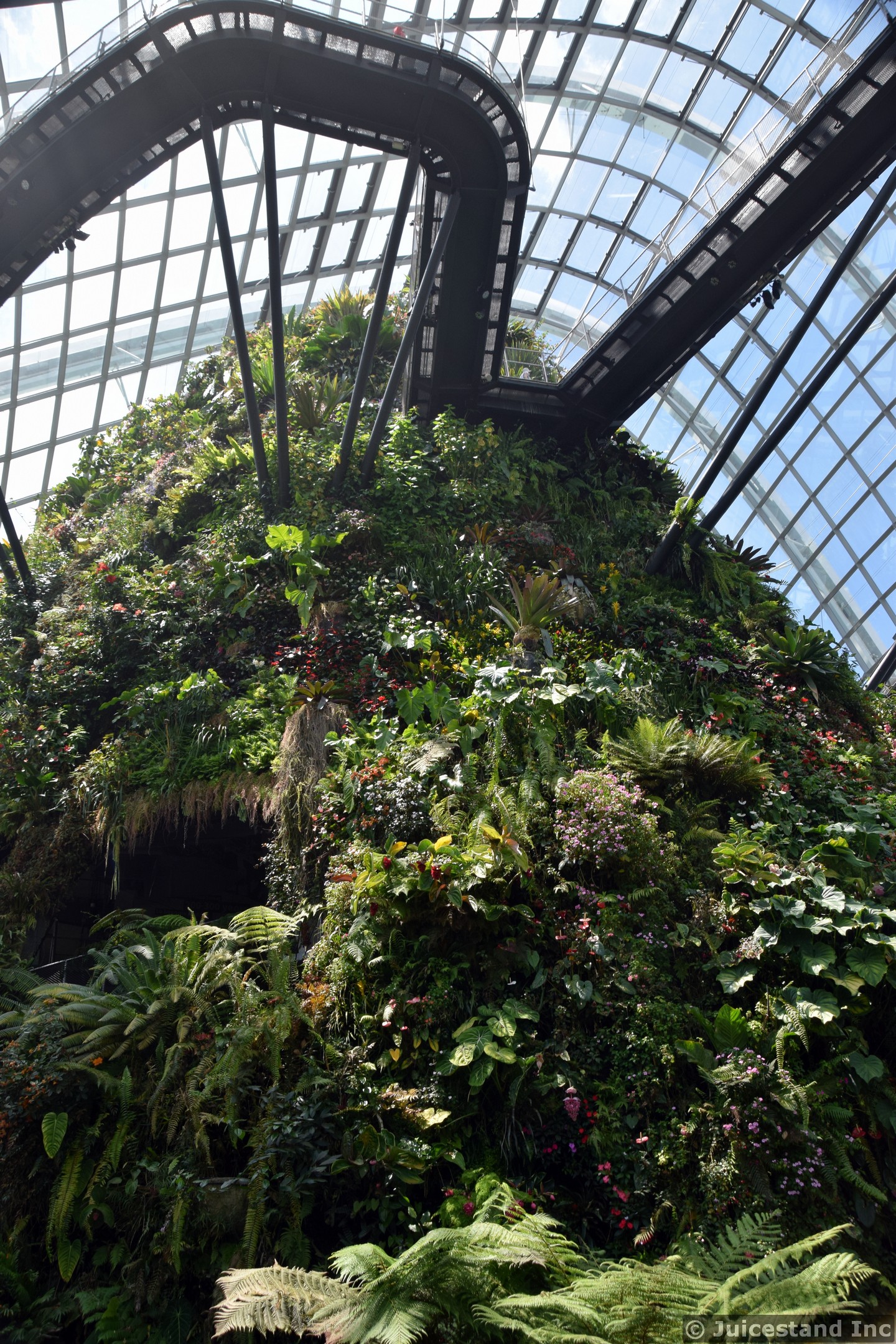 Cloud Forest Cloud Walk Another Look
