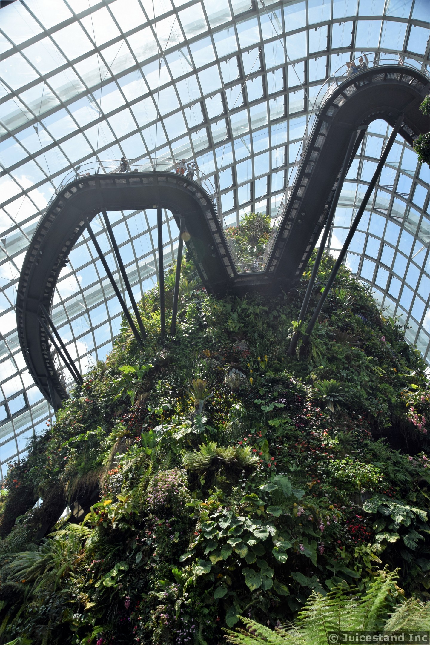 Cloud Forest Cloud Walk