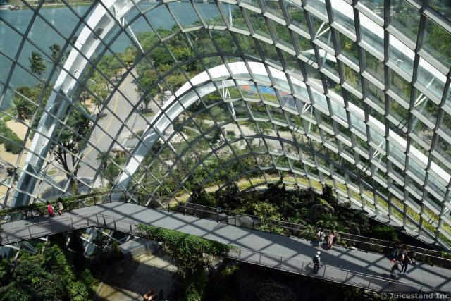 Cloud Forest Dome Gardens by the Bay
