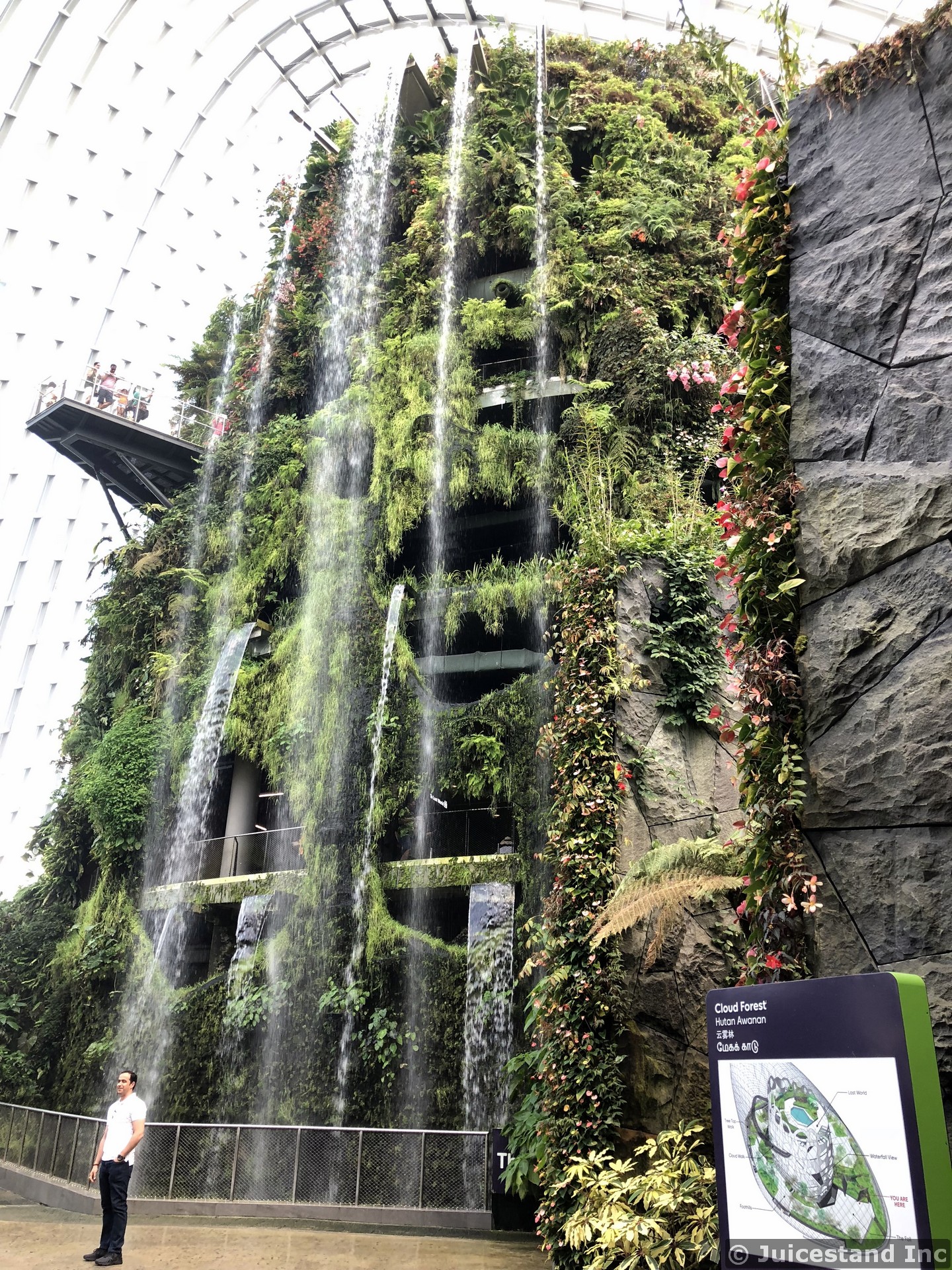 Cloud Forest Gardens by the Bay