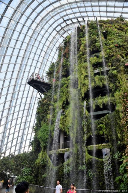 Cloud Forest Waterfall Gardens by the Bay