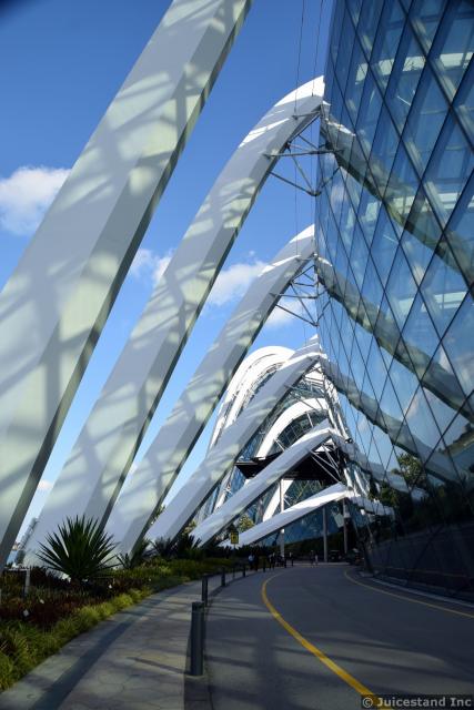 Exterior Support Beams of Cloud Forest Dome