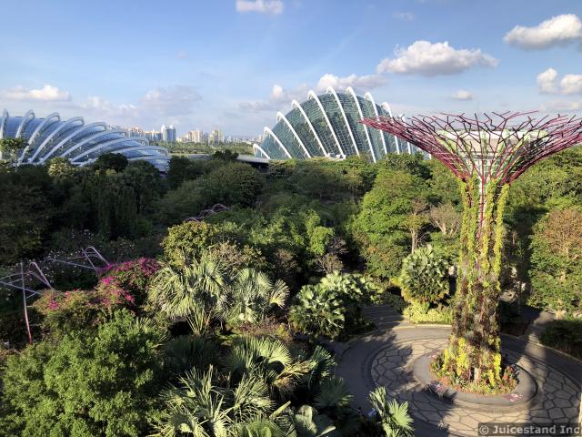 Flower Dome & Cloud Forest Dome seen from OCBC Skyway
