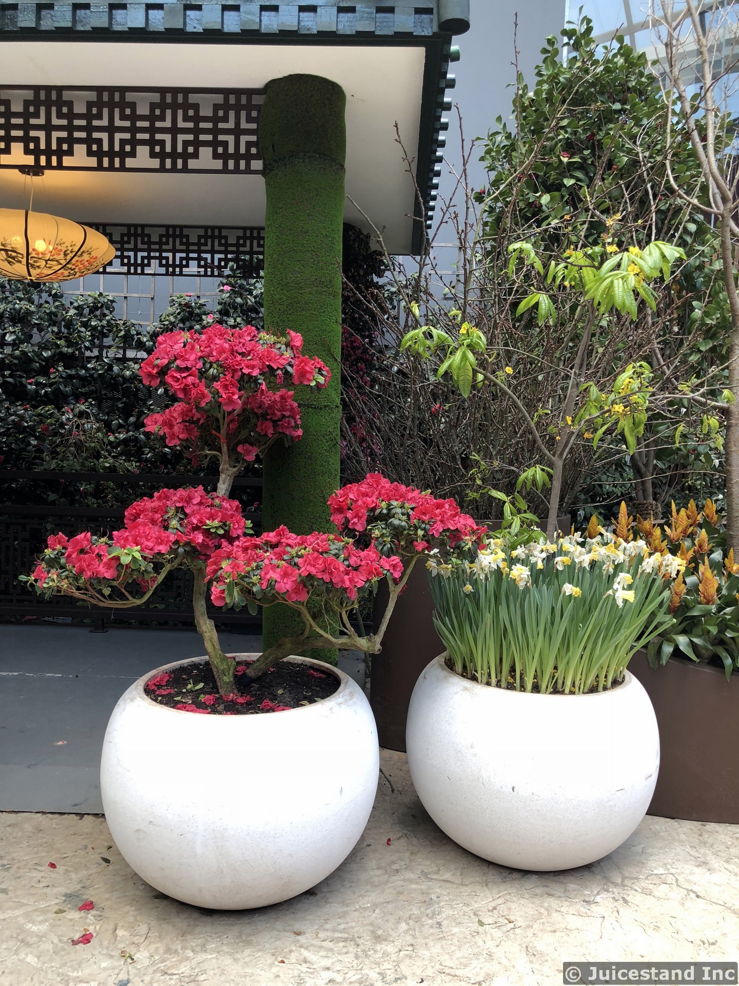 Flowers in White Eggshell Planters in Flower Dome