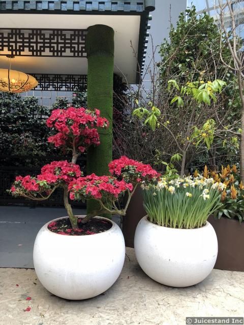 Flowers in White Eggshell Planters in Flower Dome
