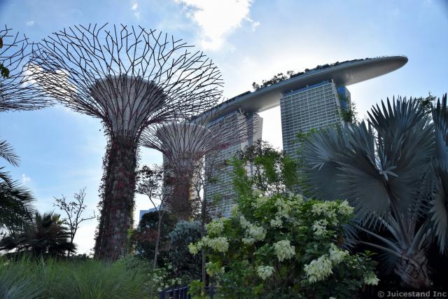 Marina Bay Sands and Supertrees