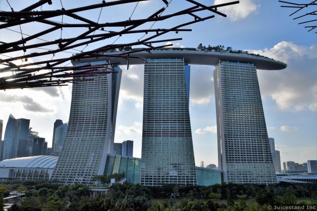 Marina Bay Sands Seen from OCBC Skyway Gardens by the Bay