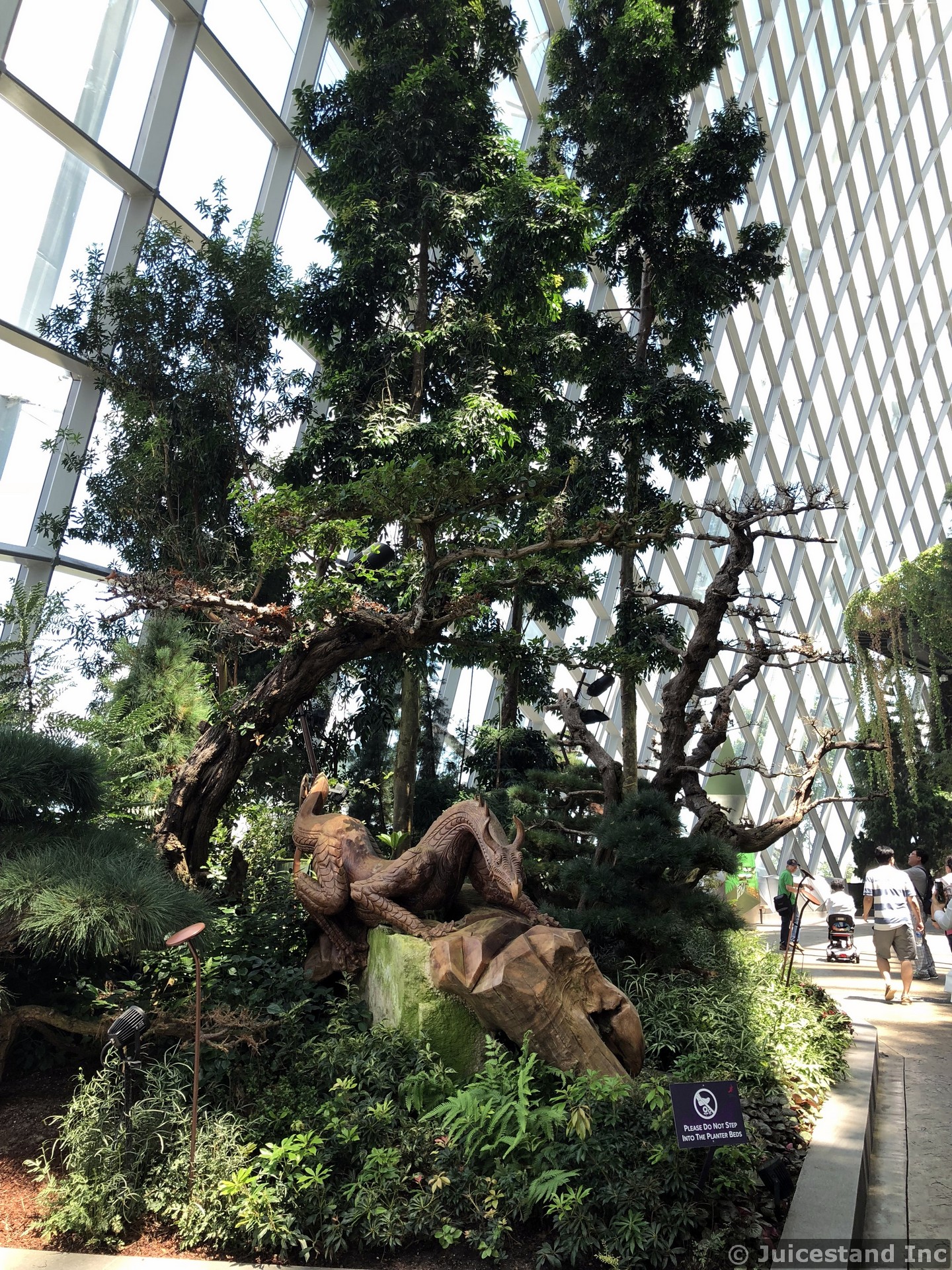 Mythical Creature Carving at Cloud Forest