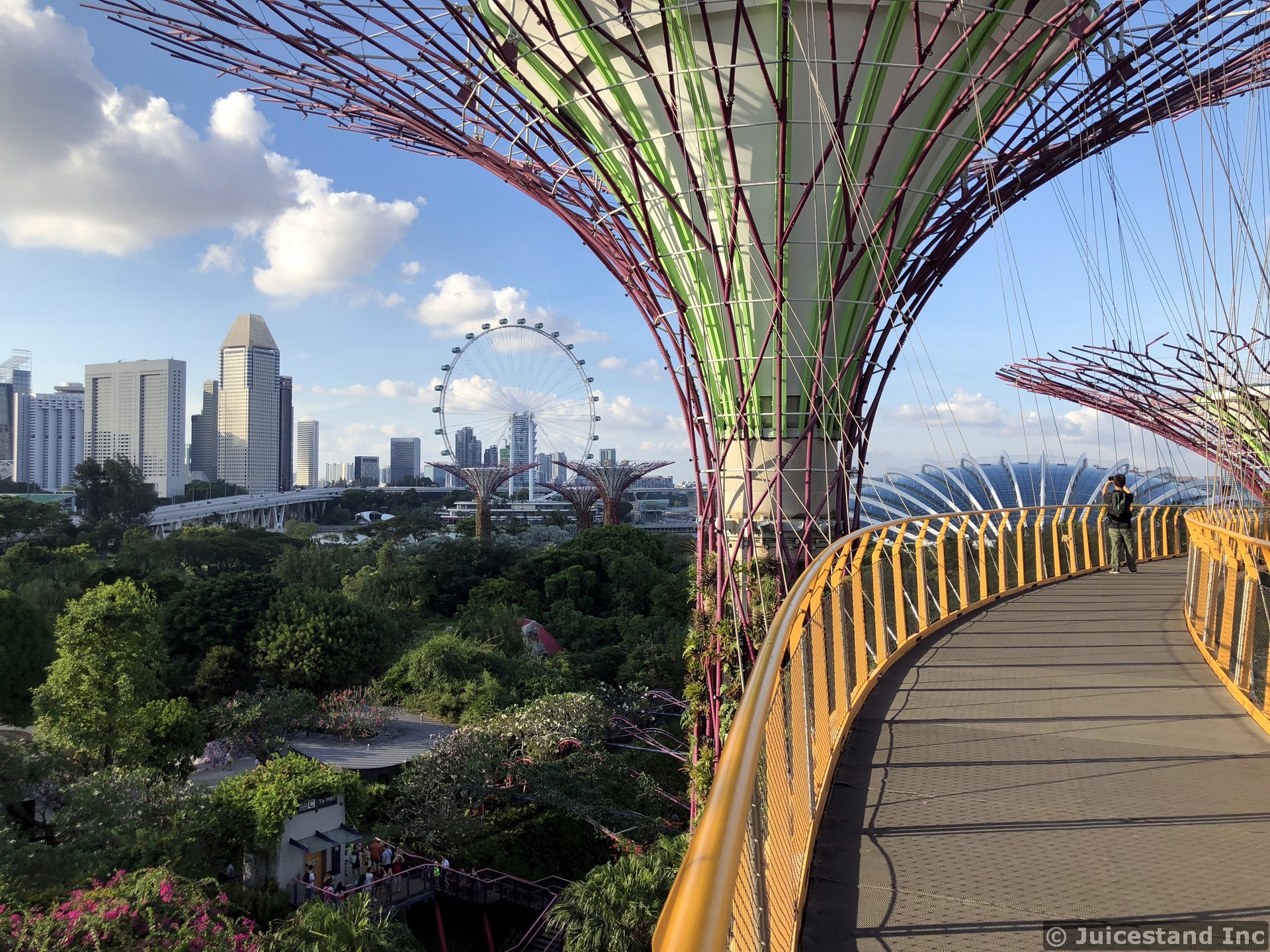 OCBC Skyway Beautiful View of Singapore