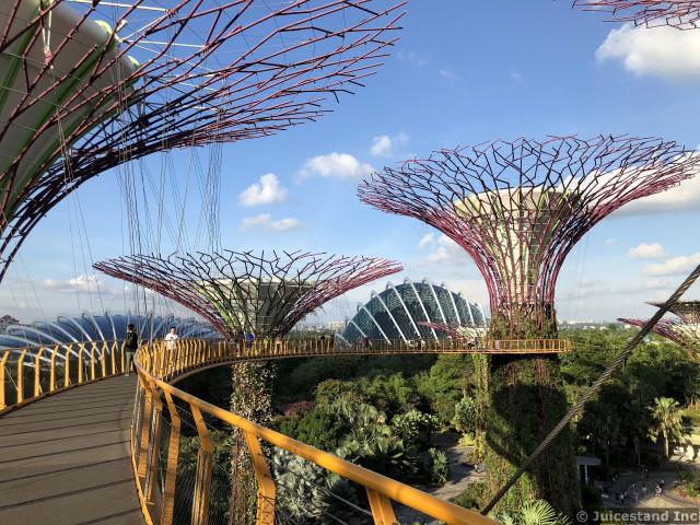 OCBC Skyway next to Supertrees