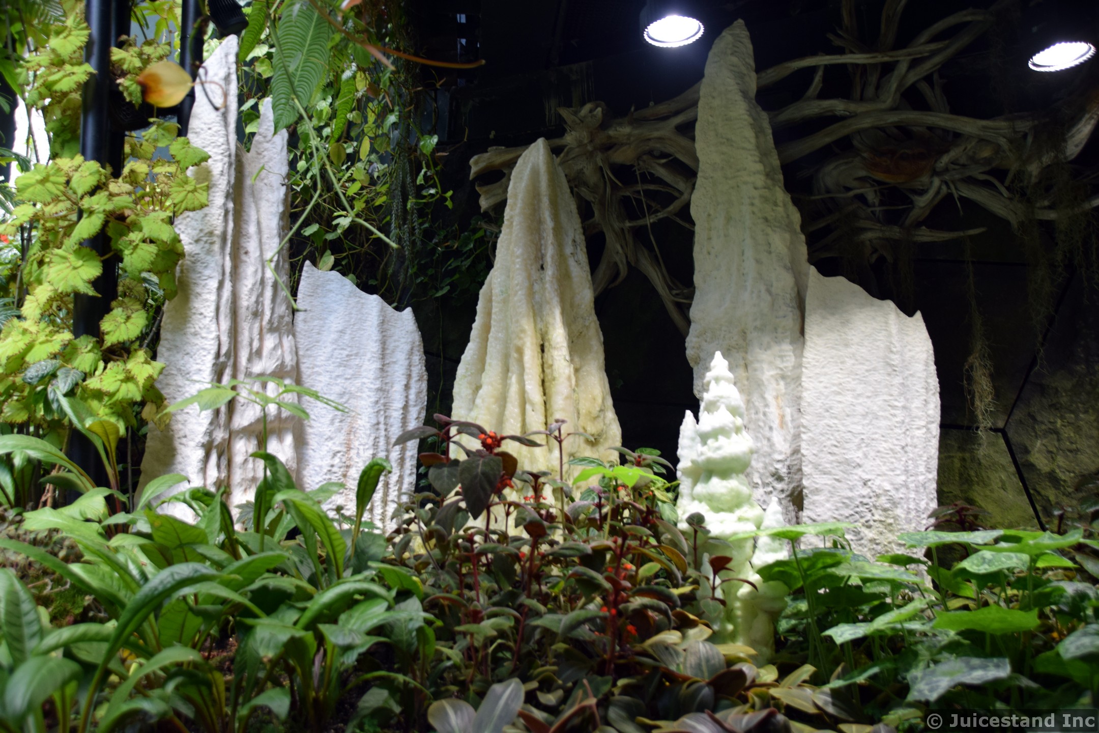 Peak Formations inside Cavern of Cloud Forest