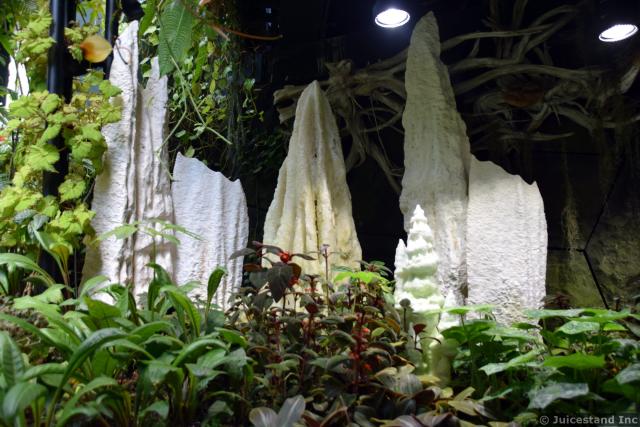 Peak Formations inside Cavern of Cloud Forest