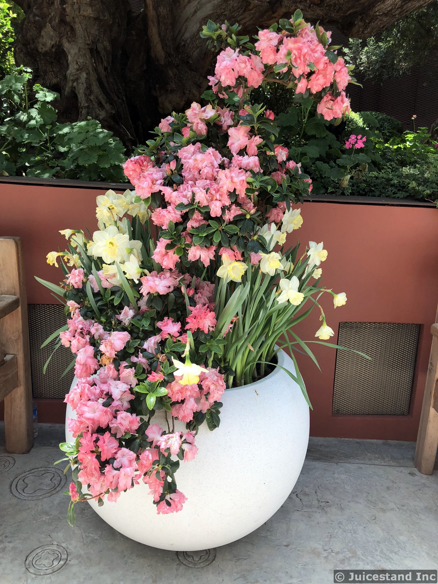 Pink and White Floral Arrangement in Large Eggshell Vase