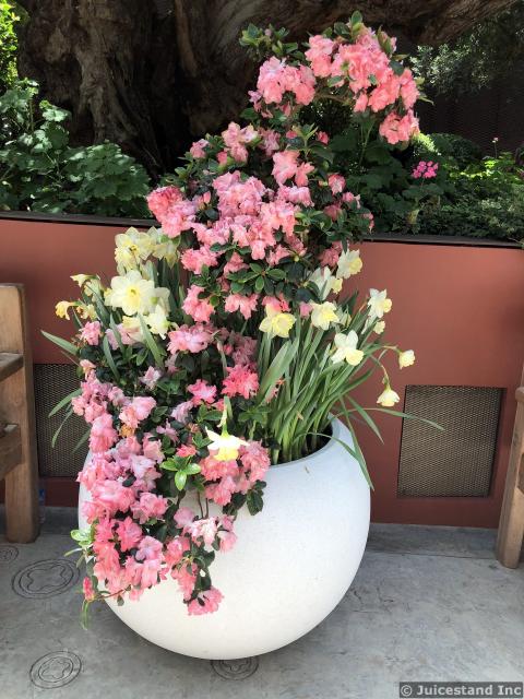 Pink and White Floral Arrangement in Large Eggshell Vase